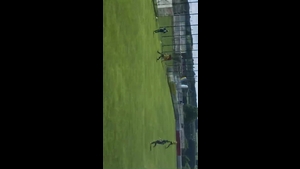 DJK Neustadt/WN - (SG) SV SW Kemnath/Stadt