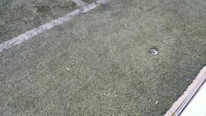 14., TOP-SZENE, SV Burgweinting 2