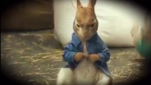 Kirchheimer SC - VfB Hallbergmoos
