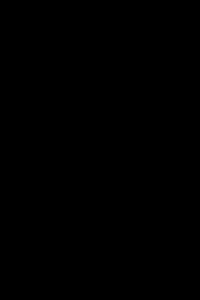 21.,11m Tor, (SG) DJK Schondra II/DJK Breitenbach/FSV Schönderling