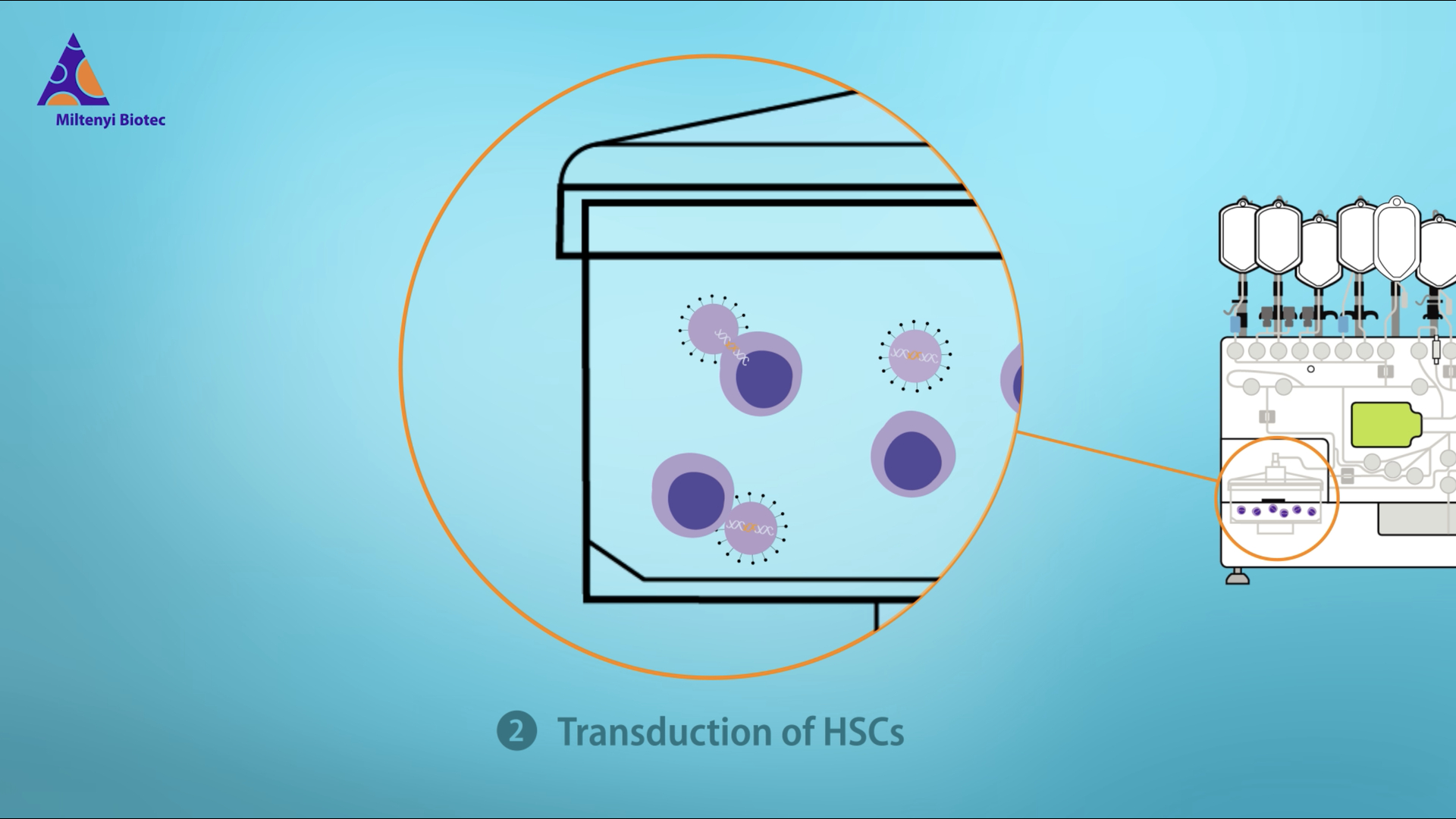 Gene-engineered hematopoietic stem cells | Miltenyi | Miltenyi Biotec ...