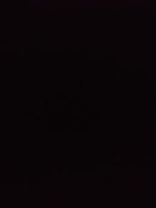 0.,Tor, FC Eintracht Bamberg 2010 III