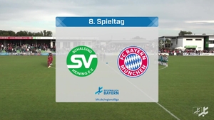 SV Schalding-Heining - FC Bayern München II
