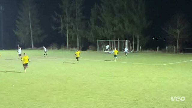 Tor zum 3:0
