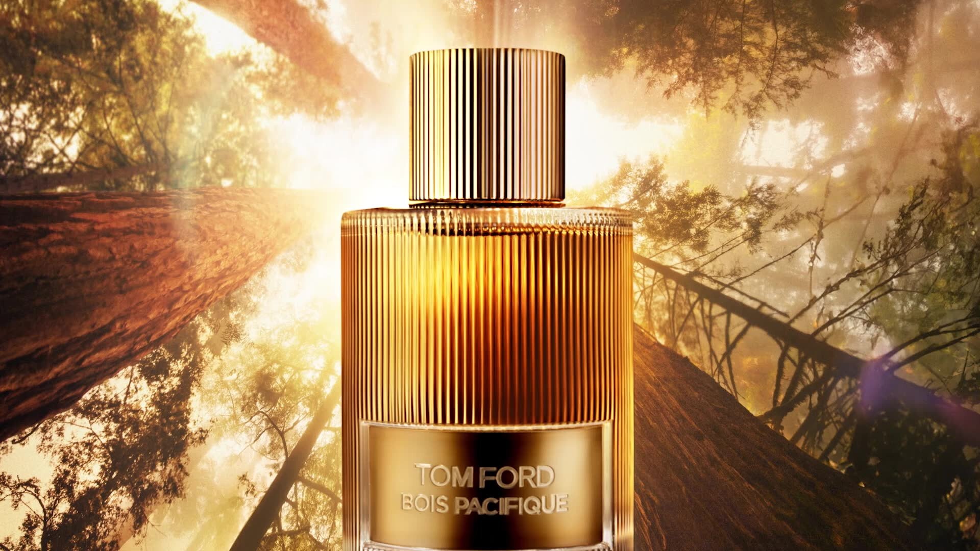 TOM FORD Signature Fragrances Bois Pacifique Eau de parfum