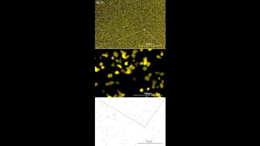 Exploring rare cellular activity in more than one million
