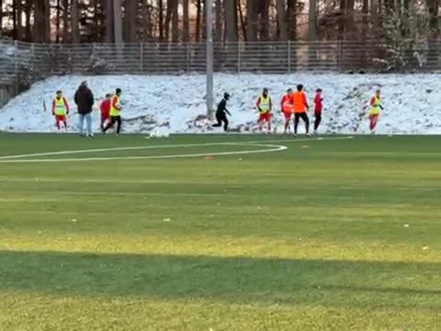 FT Starnberg 09 - SV Heimstetten II