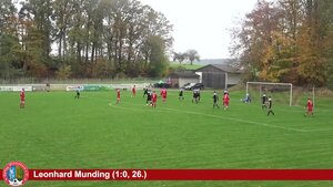 SpVgg Wiesenbach - SV Holzheim/Dillingen