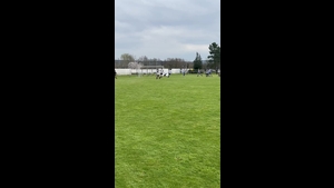 SpVgg Niedernberg II - SV Großwallstadt II