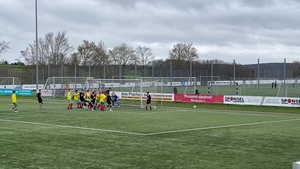 DJK Don Bosco Bamberg U14 (BFV-FöL) - FC Schweinfurt 05 U14 (BFV-FöL)