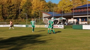 SG Münchsteinach/Diespeck - TSV Langenfeld