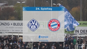 SV Viktoria Aschaffenburg - FC Bayern München II