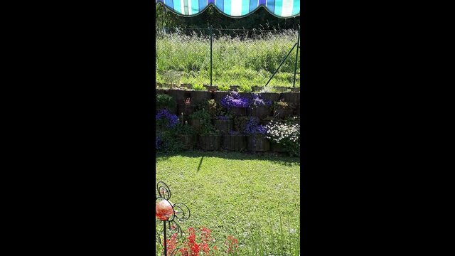 TSV Aubstadt - SV Viktoria Aschaffenburg