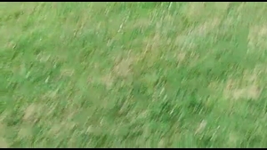 (SG) FSV Oberferrieden - SpVgg Mögeldorf II