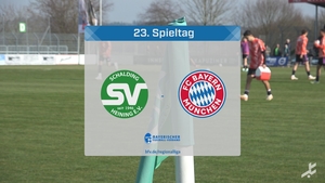 SV Schalding-Heining - FC Bayern München II