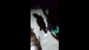 SC Pollanten - DJK-SV Berg