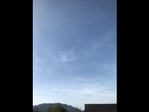 TSV München-Ost U10-1 - TSV Turnerbund U10-1