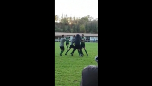 1:1 Pascal Stürmer 96. Minute