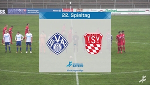 SV Viktoria Aschaffenburg - TSV Rain/Lech