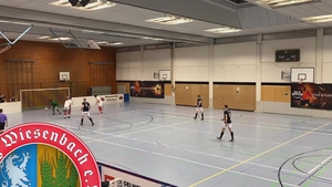 SpVgg Wiesenbach - TSG Thannhausen