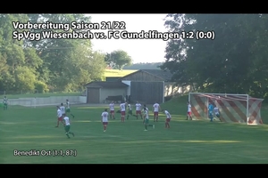 Wiesenbach - Gundelfingen