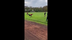 Tuspo Nürnberg - FSV Stadeln