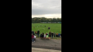 (SG) SG Oberleichtersbach I/ MSV Modlos I - SV Machtilshausen