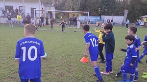 TSV Wolkersdorf - TV 48 Schwabach