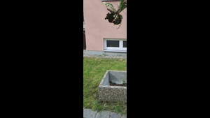 SV DJK-Taufkirchen U11-2 - SV Zamdorf U11-3