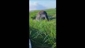 TSV Buch - TSV 1860 Weißenburg