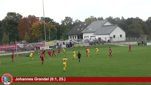 SpVgg Wiesenbach - FC Lauingen