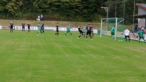 SG Münchsteinach / Diespeck - TSV Langenfeld