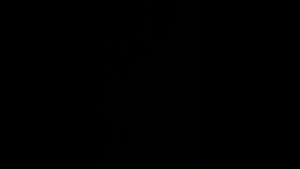 ASV Forth - SG Oberes Pegnitztal 1