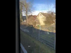 SV Lohhof U15-1 - SV Untermenzing U15