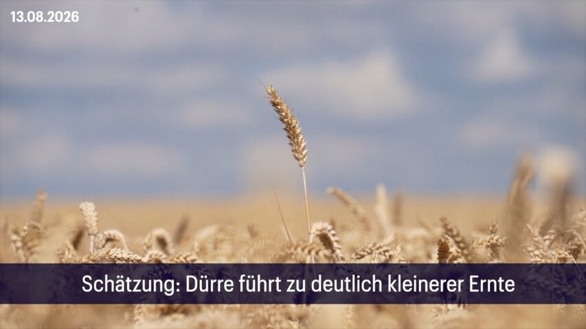 60 Sekunden Wirtschaft am 13.08.2026