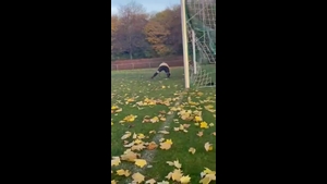 FG Marktbreit-Martinsheim II - DJK-SV Riedenheim