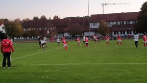 (SG) SV Hohenkammer - TSV Allershausen