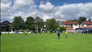 Cedric Thiel - Tsv Lenting