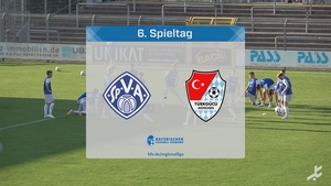 SV Viktoria Aschaffenburg - Türkgücü München