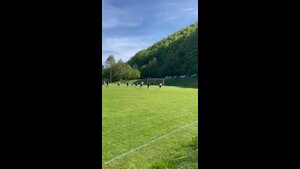 (SG 1) TSV Hausen/Rhön - (SG 1) TSV Brendlorenzen