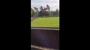 SpVgg Erlangen - SpVgg Diepersdorf