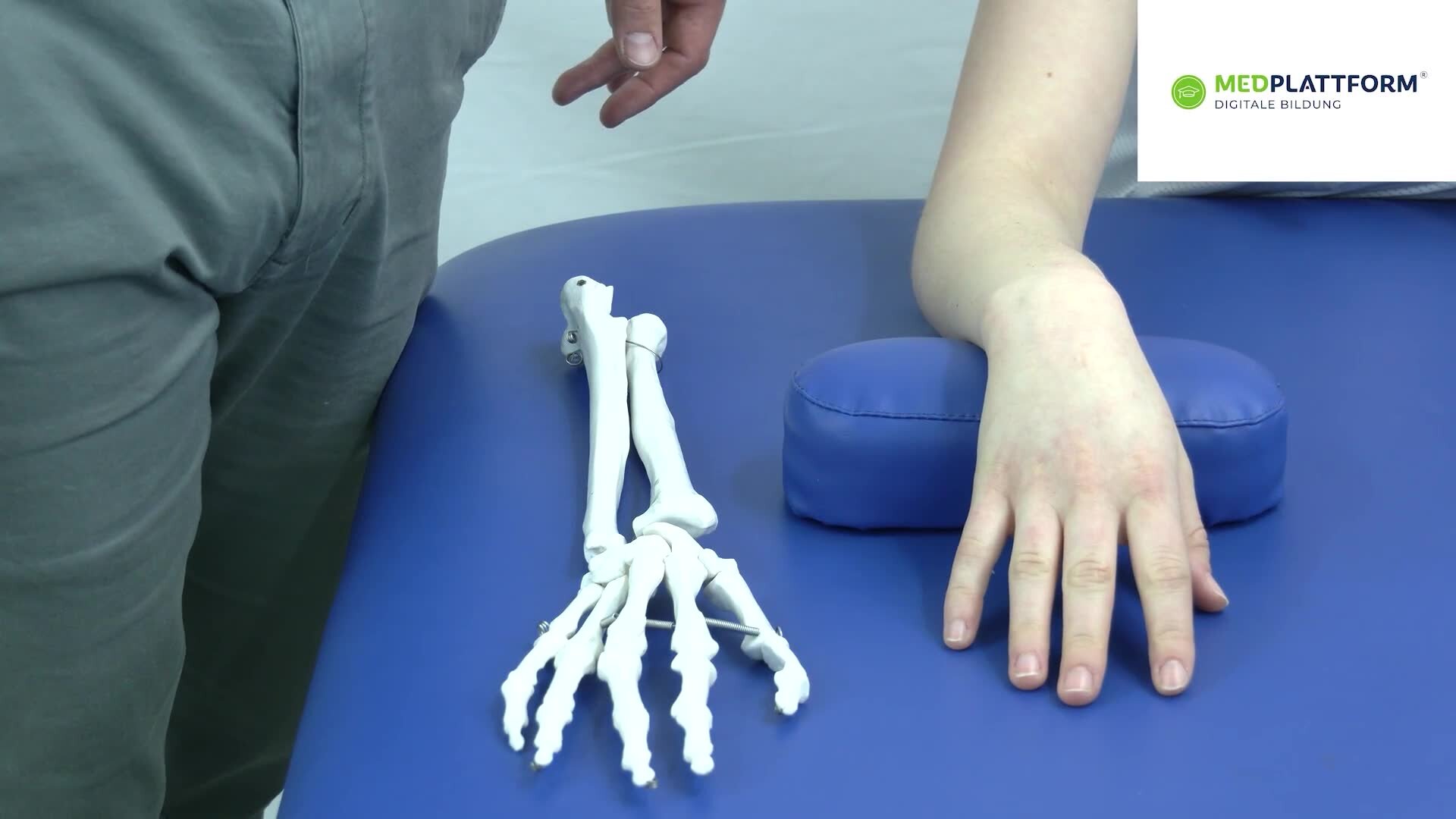 Palpation of the Joints | SpringerLink