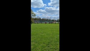 SpVgg Mögeldorf 2000 II - ASC Boxdorf