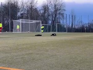 SpVgg Unterhaching U18-1 - SV Heimstetten U18