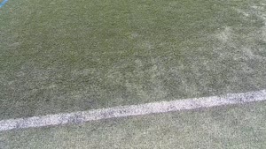 38., TOP-SZENE, k.A., JFG Haidau