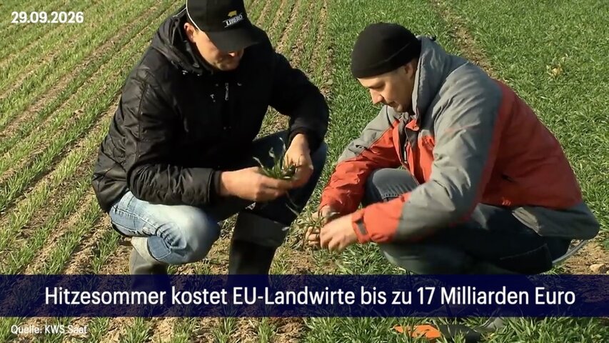 60 Sekunden Wirtschaft am 29.09.2026
