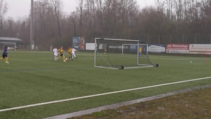 SpVgg Landshut I ( U10 ) - SC E. Freising (U10)