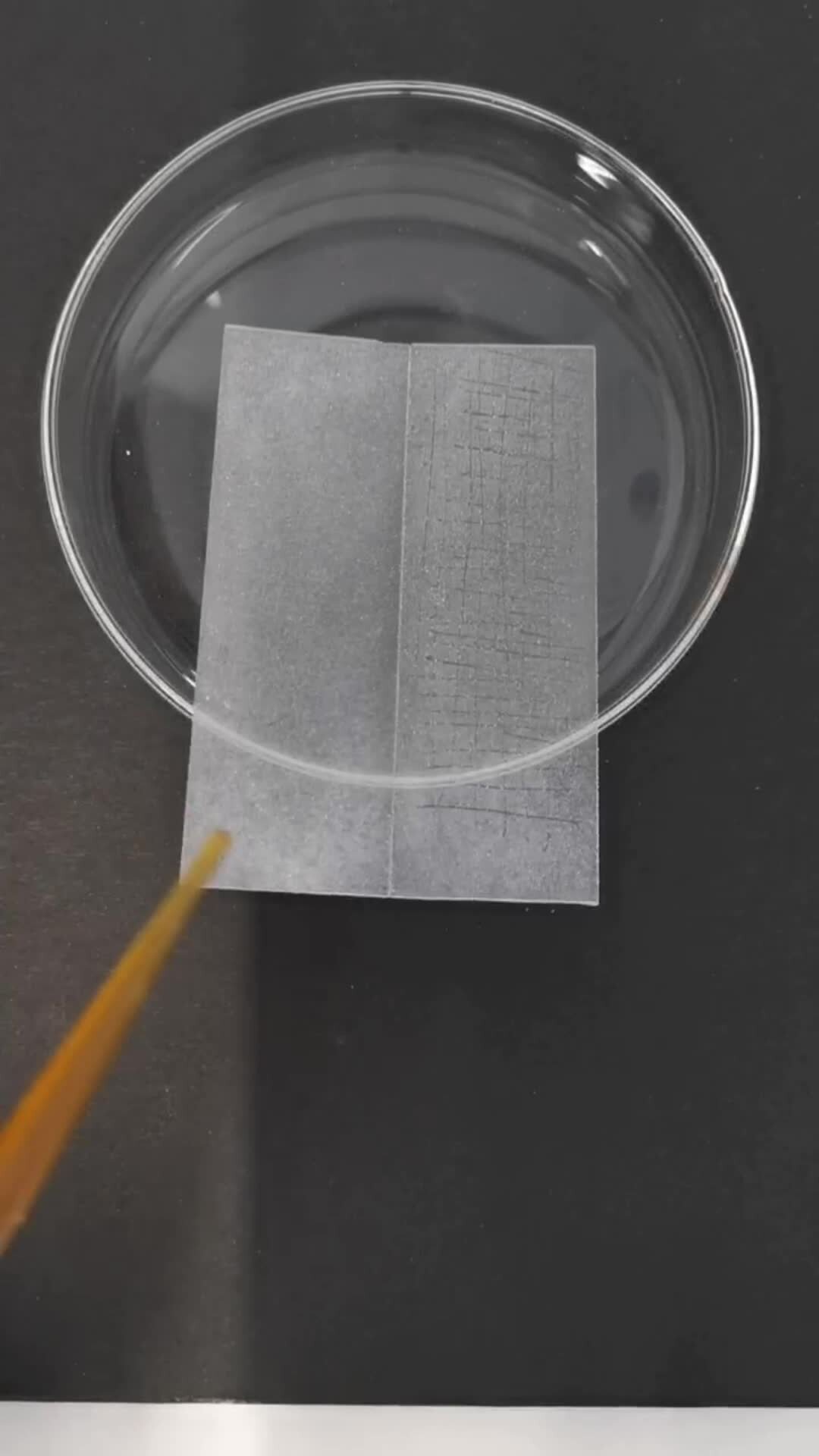 An intelligent and robust coating with switchable