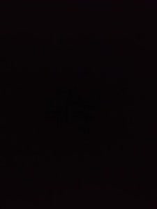 0.,11m Tor, FC Eintracht Bamberg 2010 III