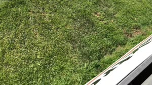 90.,Top-Szene, SV Losaurach